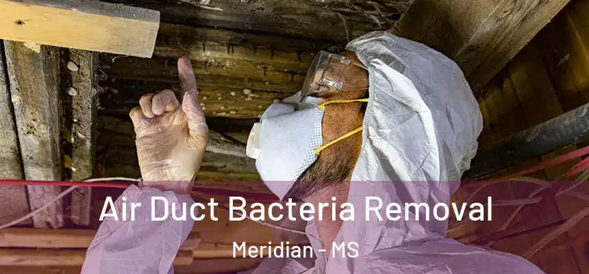  Air Duct Bacteria Removal Meridian - MS