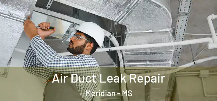 Air Duct Leak Repair Meridian - MS