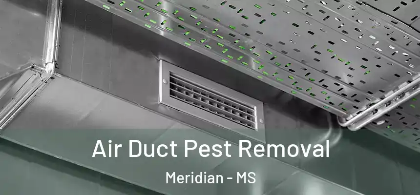  Air Duct Pest Removal Meridian - MS