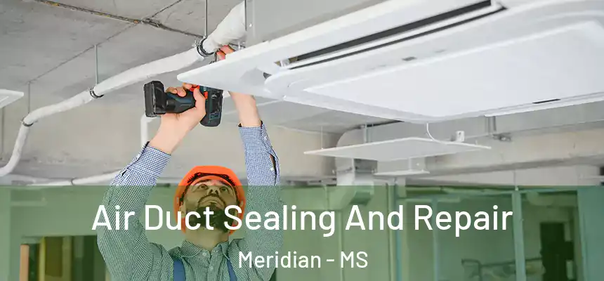  Air Duct Sealing And Repair Meridian - MS