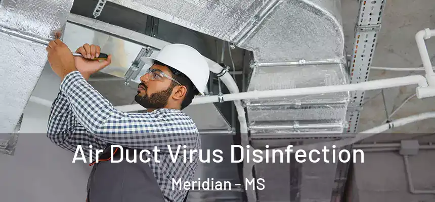 Air Duct Virus Disinfection Meridian - MS