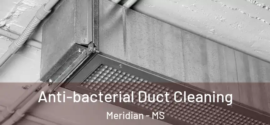  Anti-bacterial Duct Cleaning Meridian - MS