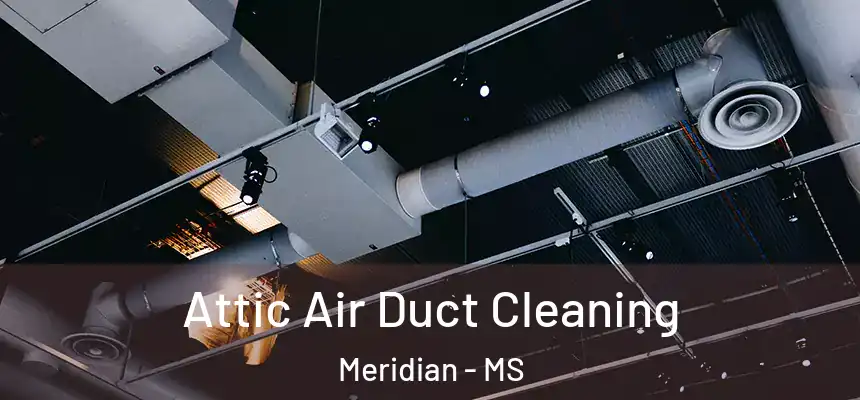  Attic Air Duct Cleaning Meridian - MS