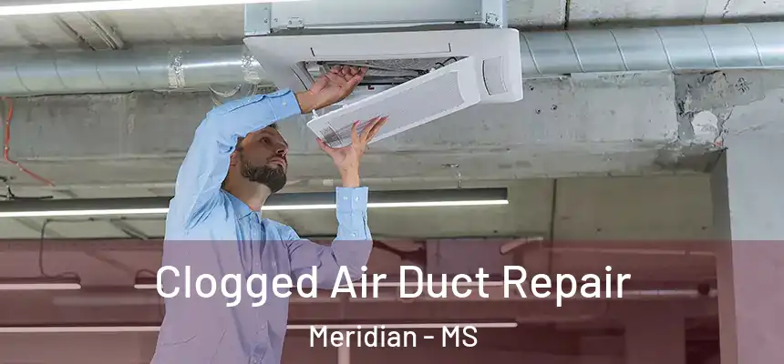 Clogged Air Duct Repair Meridian - MS