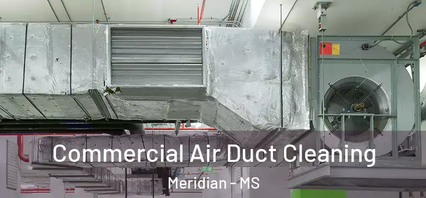Commercial Air Duct Cleaning Meridian - MS