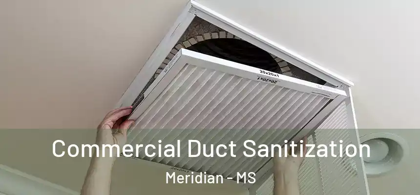  Commercial Duct Sanitization Meridian - MS