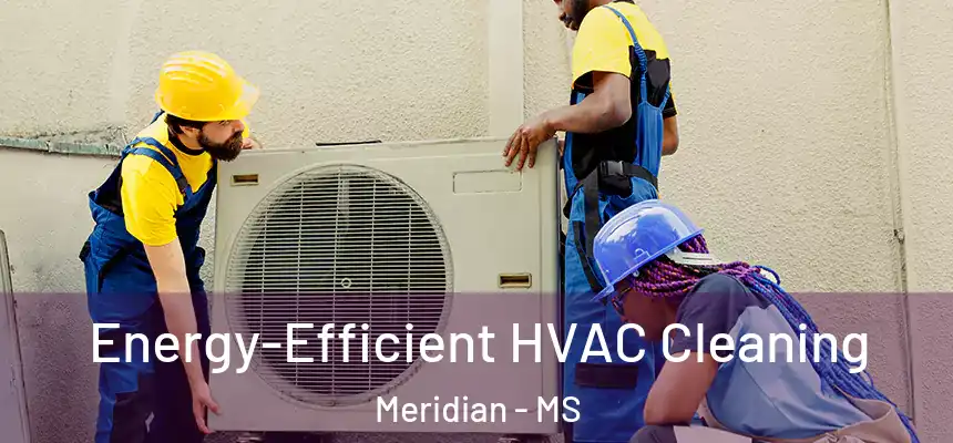 Energy-Efficient HVAC Cleaning Meridian - MS