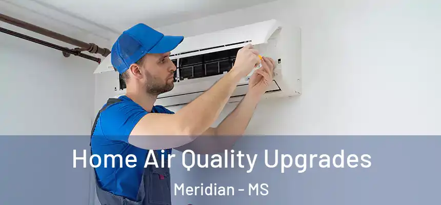 Home Air Quality Upgrades Meridian - MS