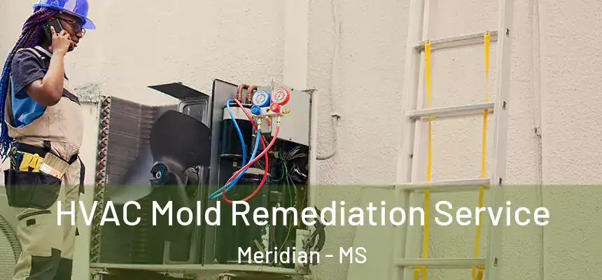 HVAC Mold Remediation Service Meridian - MS