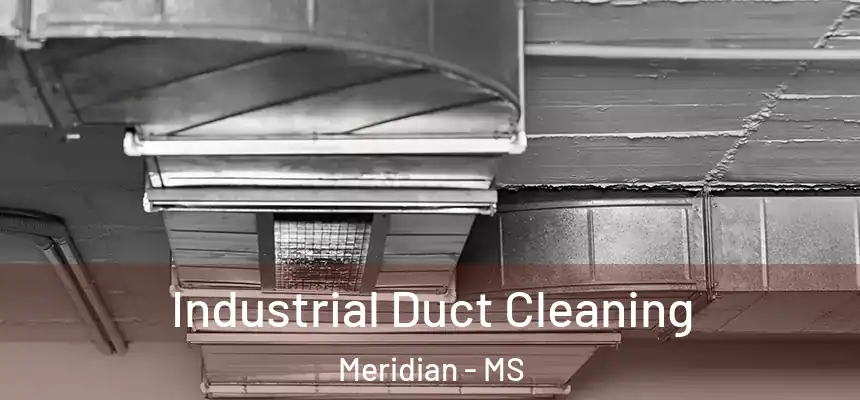  Industrial Duct Cleaning Meridian - MS