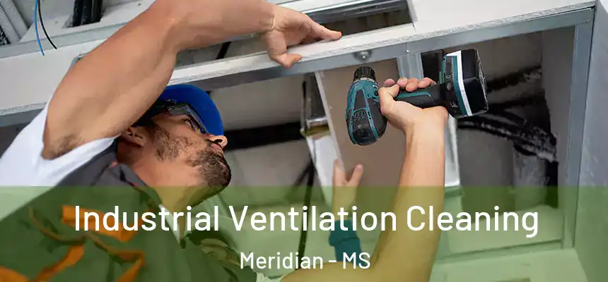 Industrial Ventilation Cleaning Meridian - MS