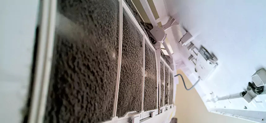 Preventive Air Duct Bacteria Removal in Meridian