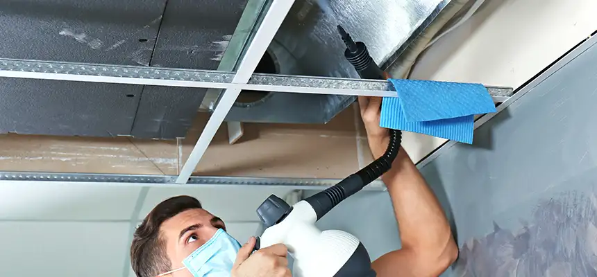 Our Air Duct Rodent Removal Services in Meridian, MS