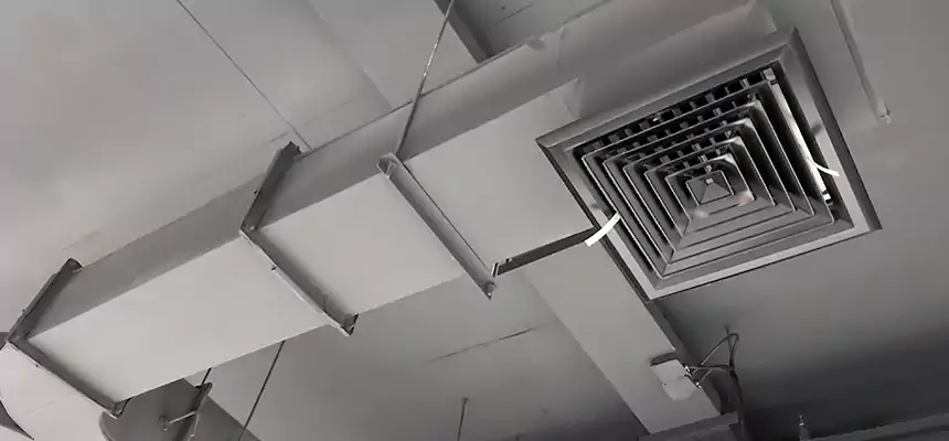 Restorative Allergy Relief Vent Cleaning – Coil, Blower & Housing Detail in Meridian