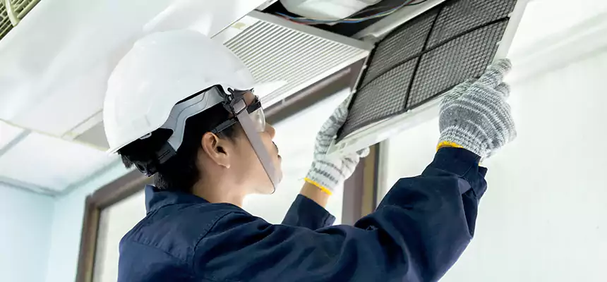 Our Mold & Mildew Removal from Air Ducts Services in Meridian, MS