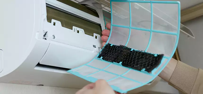 Gentle Ductwork Odor-Control Pet Dander Duct Cleaning in Meridian, MS