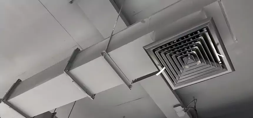 Our Rodent Droppings In Vents Services in Meridian, MS