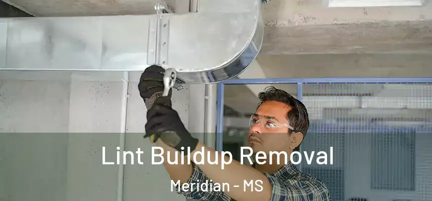 Lint Buildup Removal Meridian - MS
