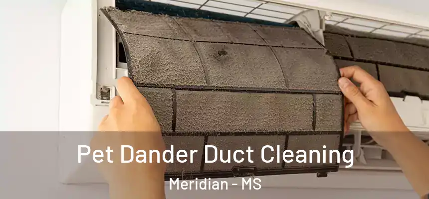 Pet Dander Duct Cleaning Meridian - MS