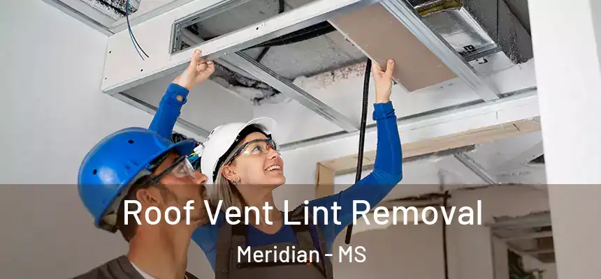 Roof Vent Lint Removal Meridian - MS