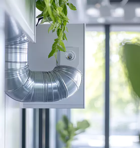 Professional Eco-Friendly Duct Cleaning Services in Meridian, MS