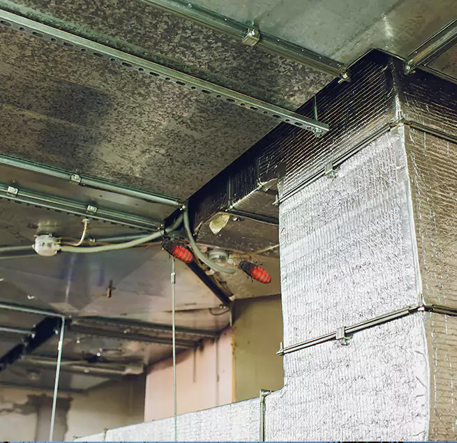 Why Homeowners & Businesses Trust Us in Meridian, MS?