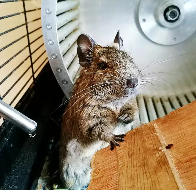 Why Homeowners & Businesses Trust Us Meridian, MS