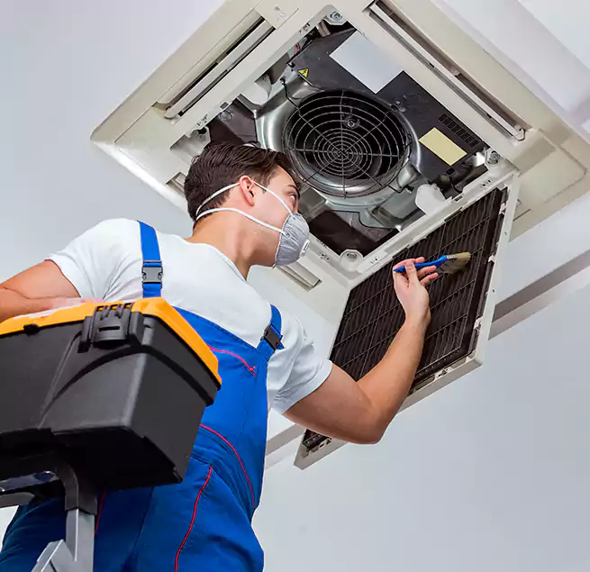 Why Homeowners & Businesses Trust Us in Meridian, MS