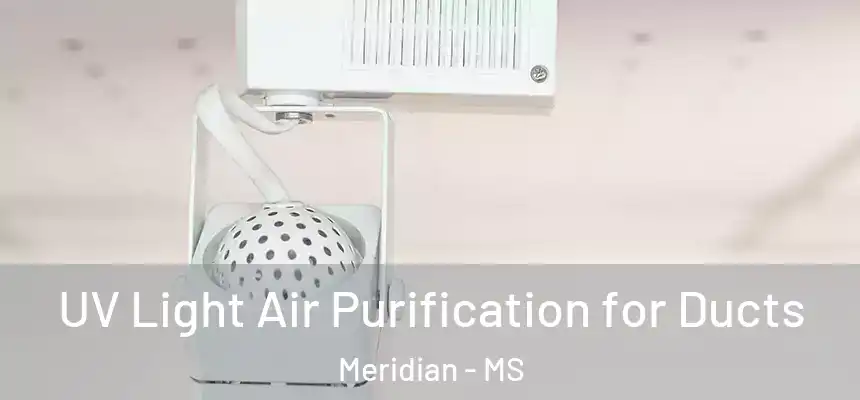  UV Light Air Purification for Ducts Meridian - MS