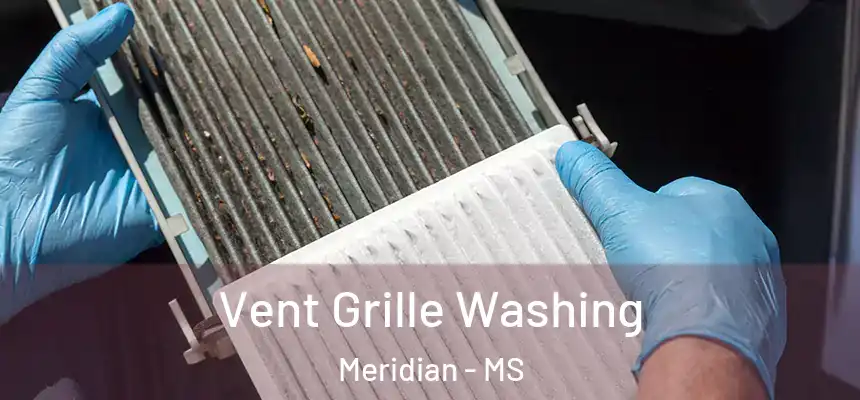  Vent Grille Washing Meridian - MS