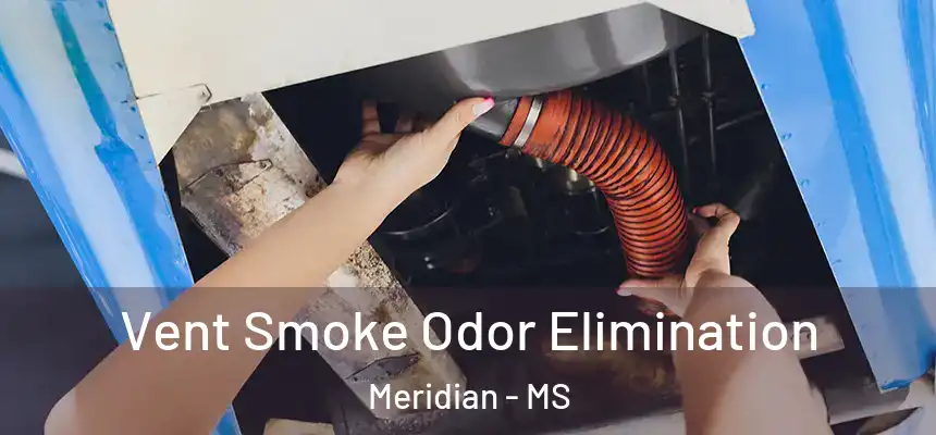  Vent Smoke Odor Elimination Meridian - MS