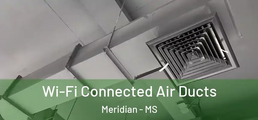  Wi-Fi Connected Air Ducts Meridian - MS